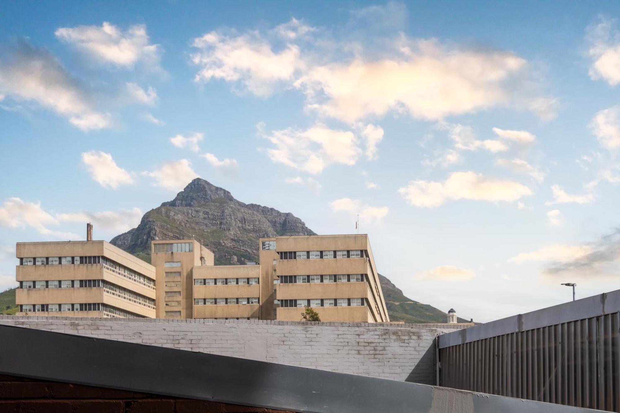 Madison Modern Oasis Cape Town